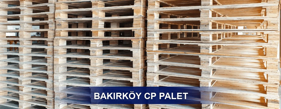 Bakırköy Standart Tipler